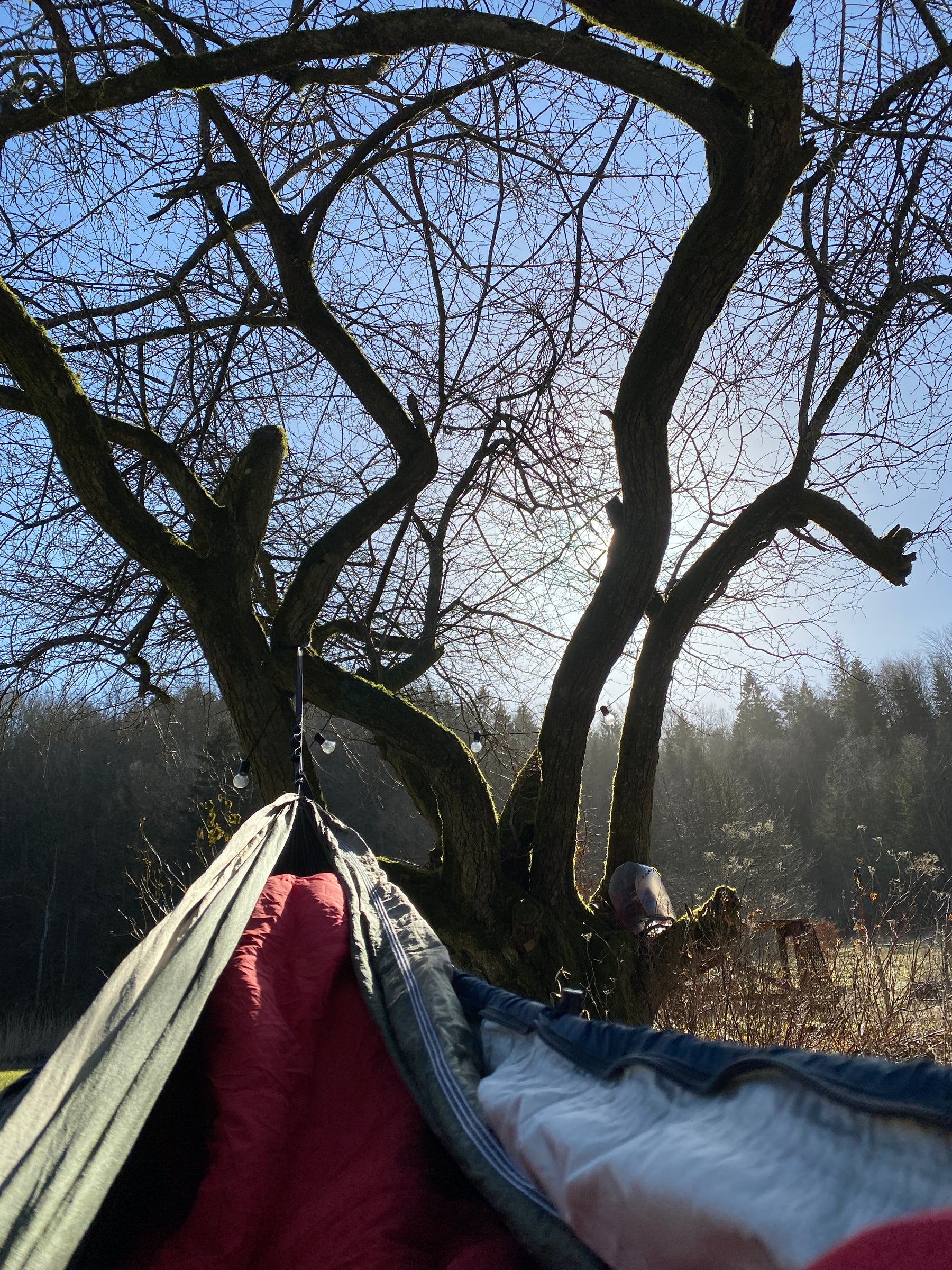 5 tips til dig der skal sove ude for første gang