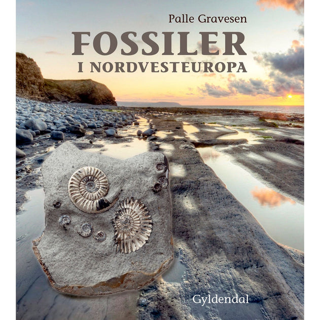 Bog: Fossiler i Nordvesteuropa Palle Gravesen