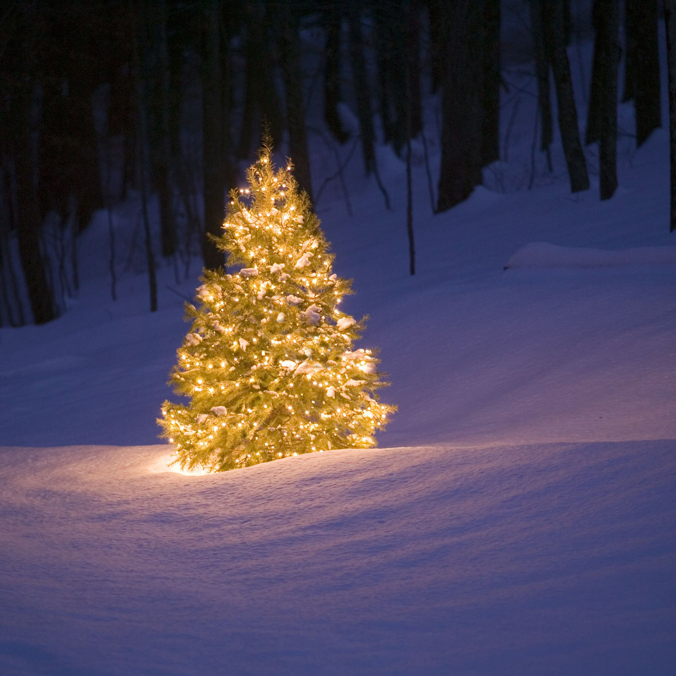 Jul – Giv eventyr i gave