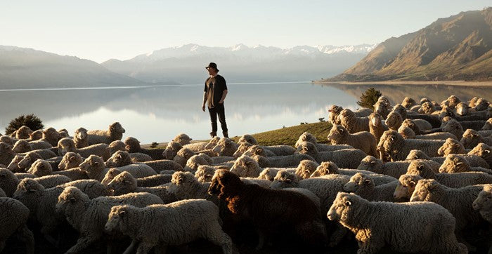 Merino uld
