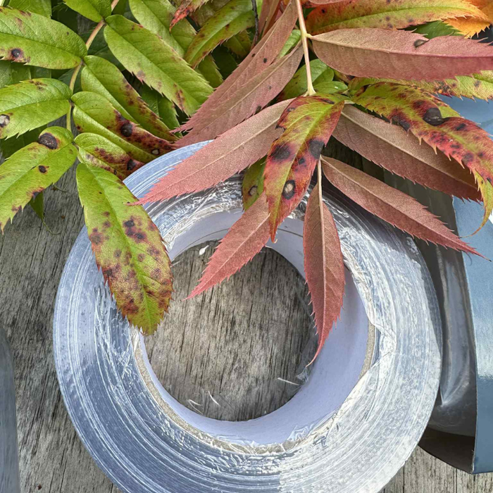 Prepper / Eventyr -Komplet luksus sæt