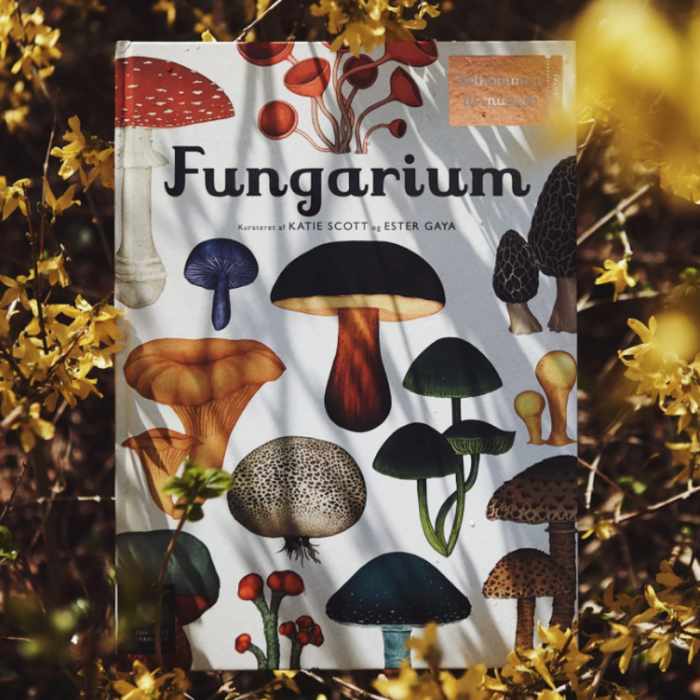 Velkommen til museet - Fungarium