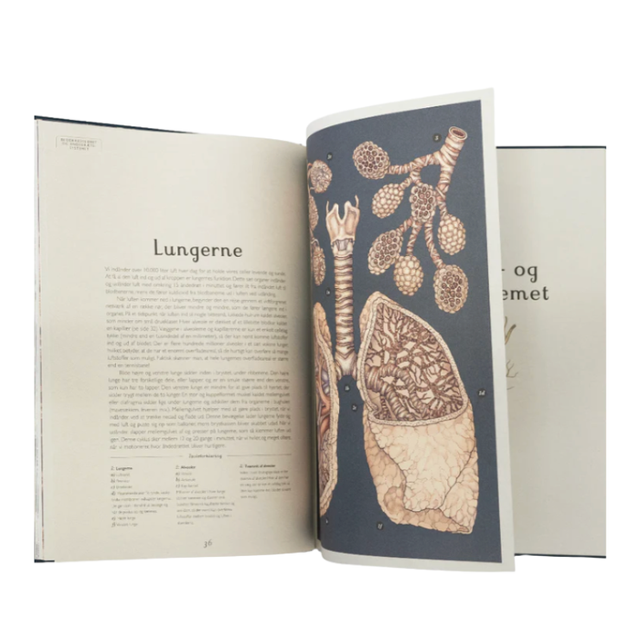 Velkommen til museet - Anatomicum