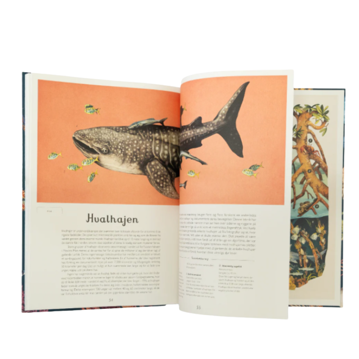 Velkommen til museet - Oceanarium