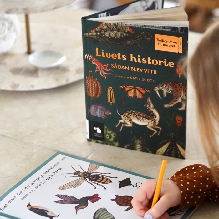 Velkommen til museet - Livets historie