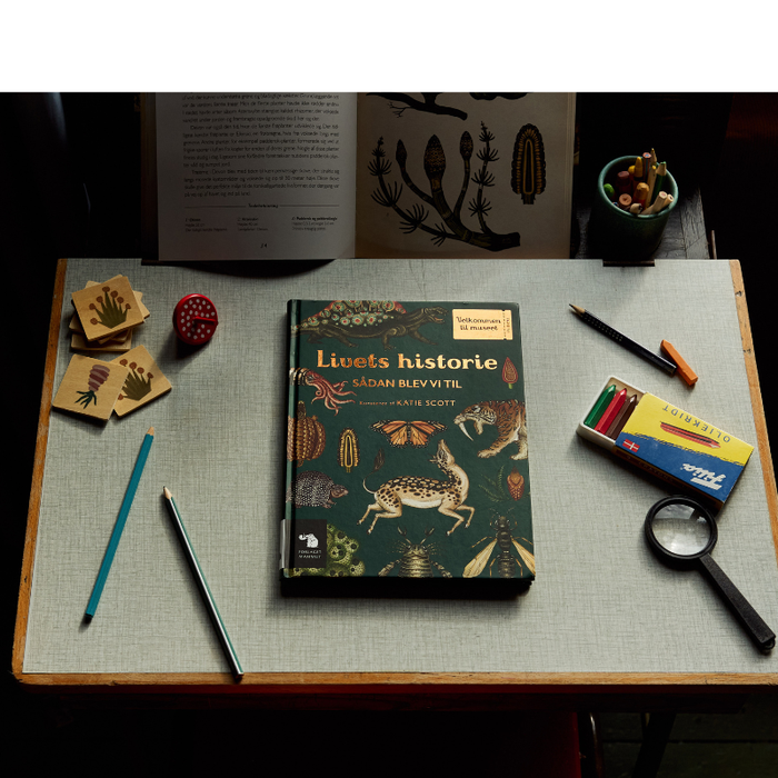 Velkommen til museet - Livets historie