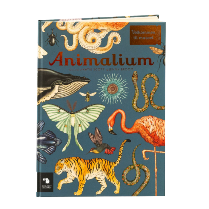 Velkommen til museet - Animalium