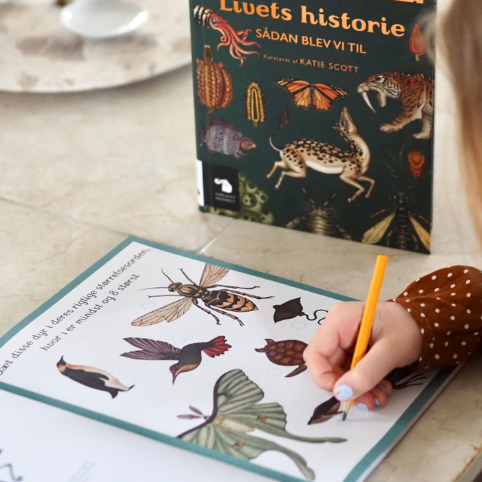 Velkommen til museet - Animalium Aktivitetsbog