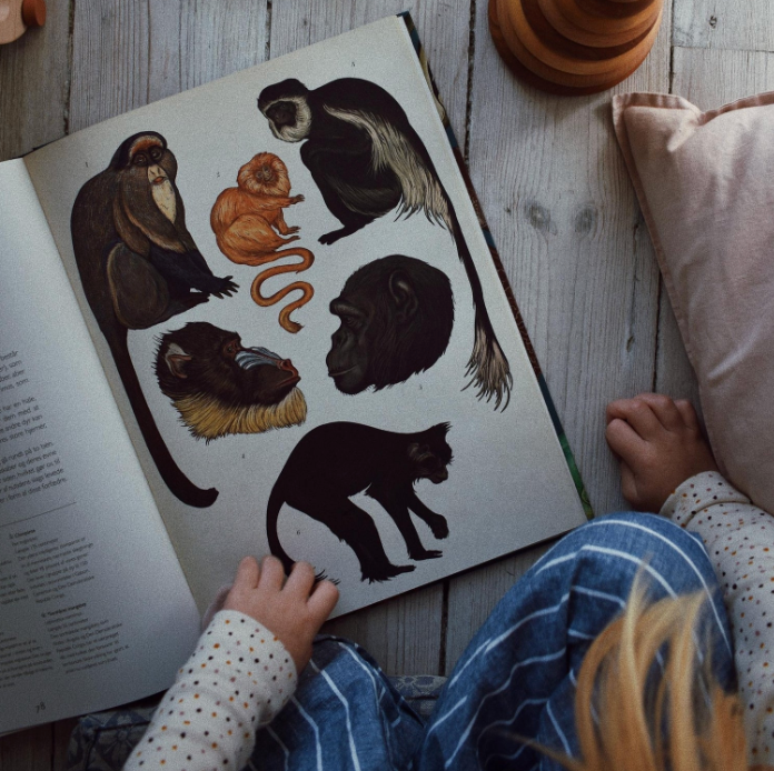 Velkommen til museet - Animalium